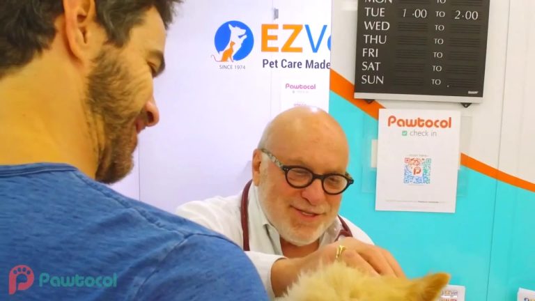 Pawtocol CEO Karim Quazzani on New to the Street