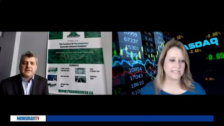 Peter Wojcik, CEO of Pharmagreen on becoming one of the largest producers of hemp starter plantlets