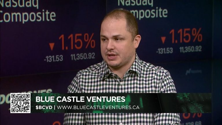 Blue Castle Ventures LTD’s (CRYPTO: BCVD) ($BCVD) interview with David Rojas, CEO/Founder.
