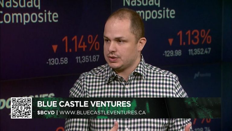 Blue Castle Ventures LTD’s (CRYPTO: BCVD) ($BCVD) interview with David Rojas, CEO/Founder.