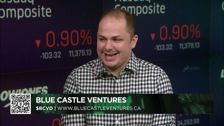 Blue Castle Ventures LTD.’s  interviews with David Rojas, CEO/Founder
