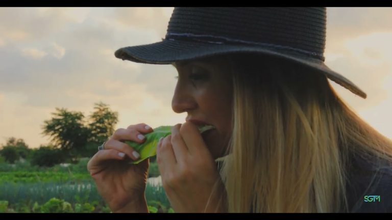 The Sustainable Green Team, Ltd.’s  –  HumiSoil Product Commercial