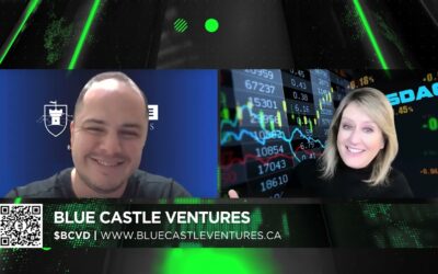 Financial Market Strategies/Blockchain– Blue Castle Ventures LTD.’s (CRYPTO: BCVD) ($BCVD) interviews with David Rojas, CEO/Founder.