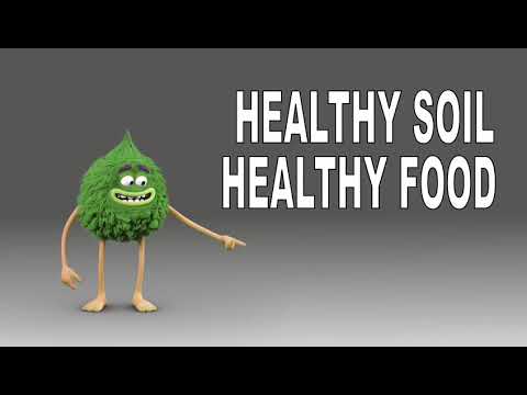 Sustainable Green Team Commercial,  June 2024