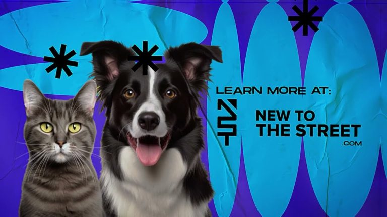 PetVivo Spryng Clinics