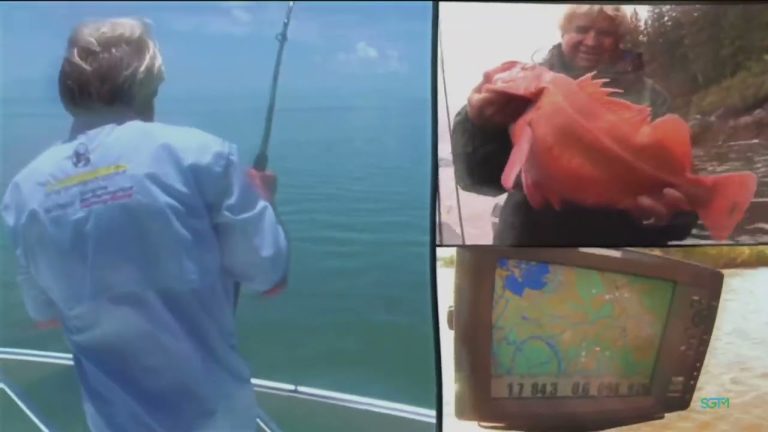 Sustainable Solutions – The Sustainable Green Team, Ltd.’sTony Raynor, CEO and Founder.