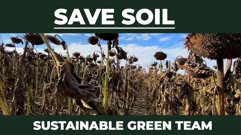 Sustainable Green Team | Save Soil