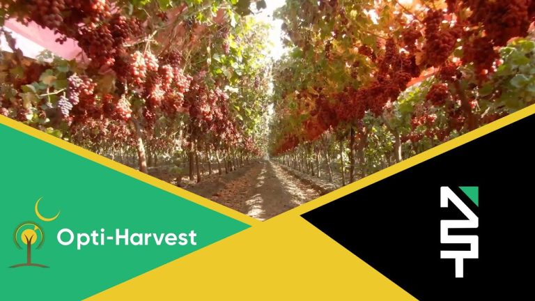Revolutionizing Agriculture with Light Spectrum Science – Opti-Harvest